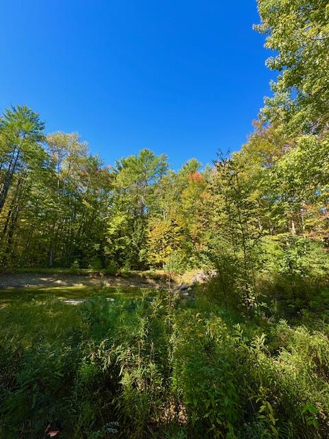 Lot 1 Oak Hill Road Smithfield, ME 04978 - Photo 19 of 23 IMG_6247