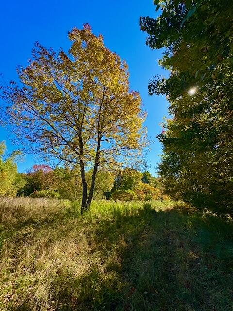 Lot 1 Oak Hill Road Smithfield, ME 04978 - Photo 20 of 23 IMG_6248