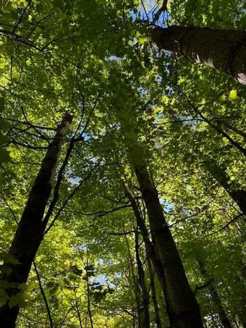 $95,000 | Lot 1 Oak Hill Road, Smithfield, ME 04978