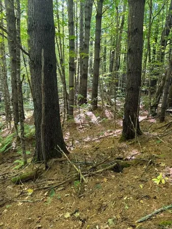 $95,000 | Lot 1 Oak Hill Road, Smithfield, ME 04978