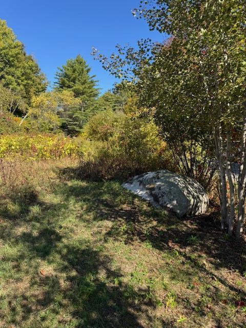 Lot 1 Oak Hill Road Smithfield, ME 04978 - Photo 9 of 23 IMG_6226