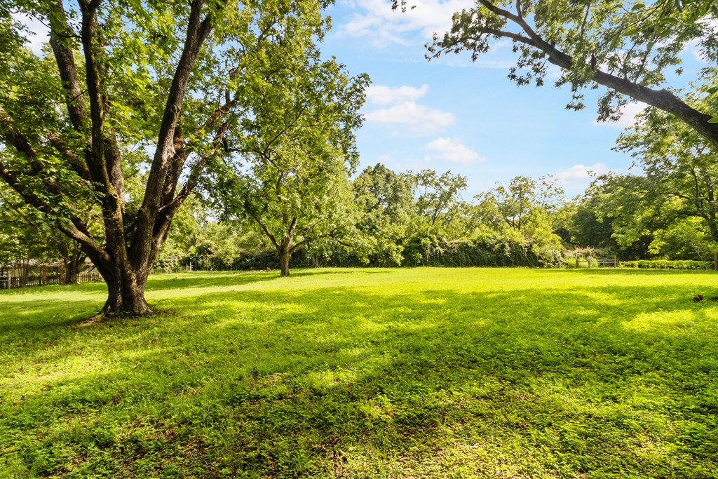 1691 Spring Street Newton, AL 36352 - Photo 57 of 58