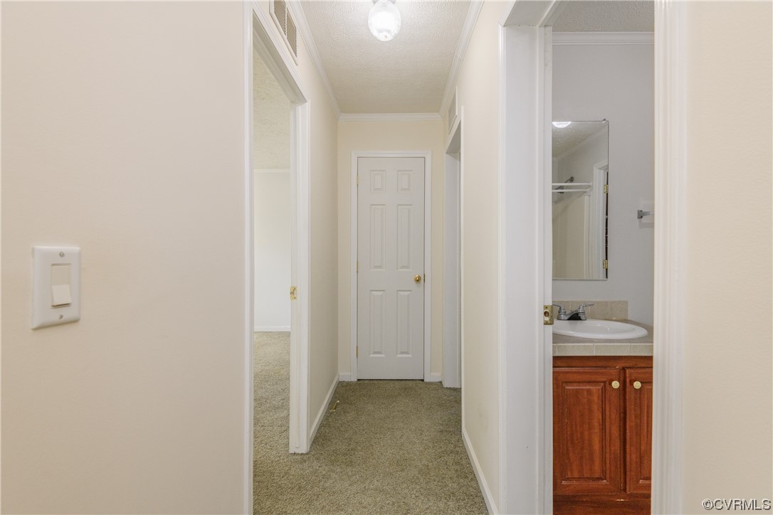 384 Wildlife Lane Rice, VA 23966 - Photo 32 of 50 Gallery Image 32