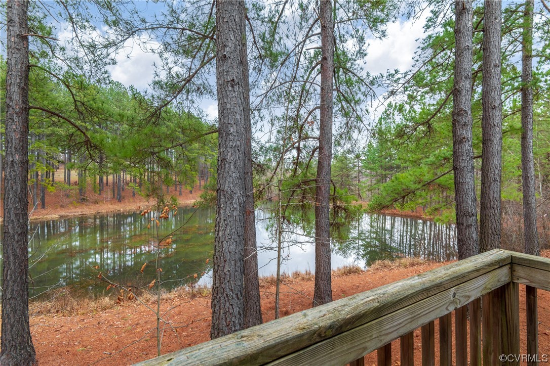 384 Wildlife Lane Rice, VA 23966 - Photo 42 of 50 Gallery Image 42