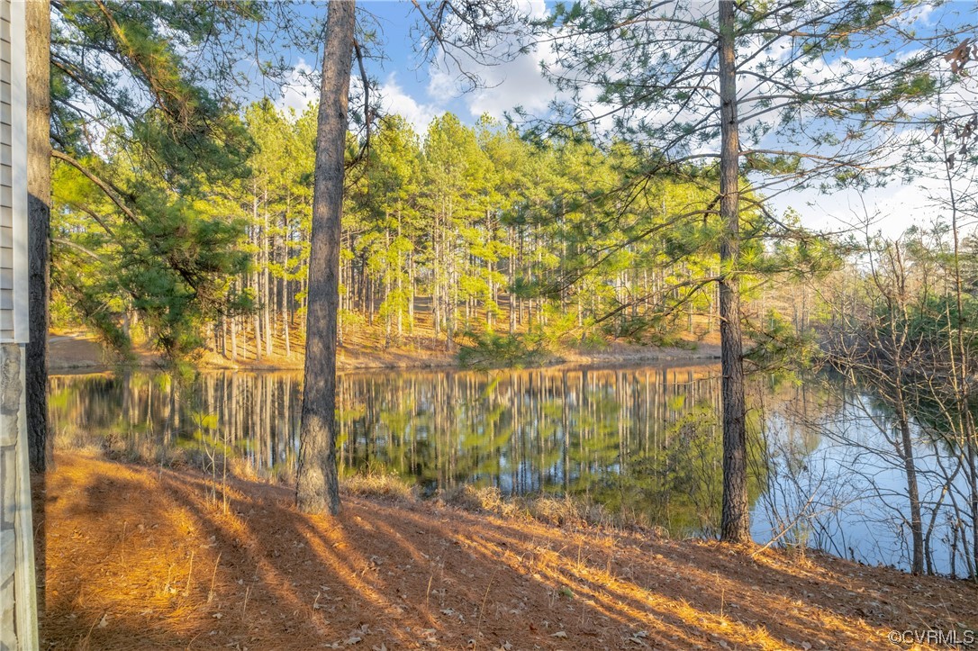 384 Wildlife Lane Rice, VA 23966 - Photo 49 of 50 Gallery Image 49