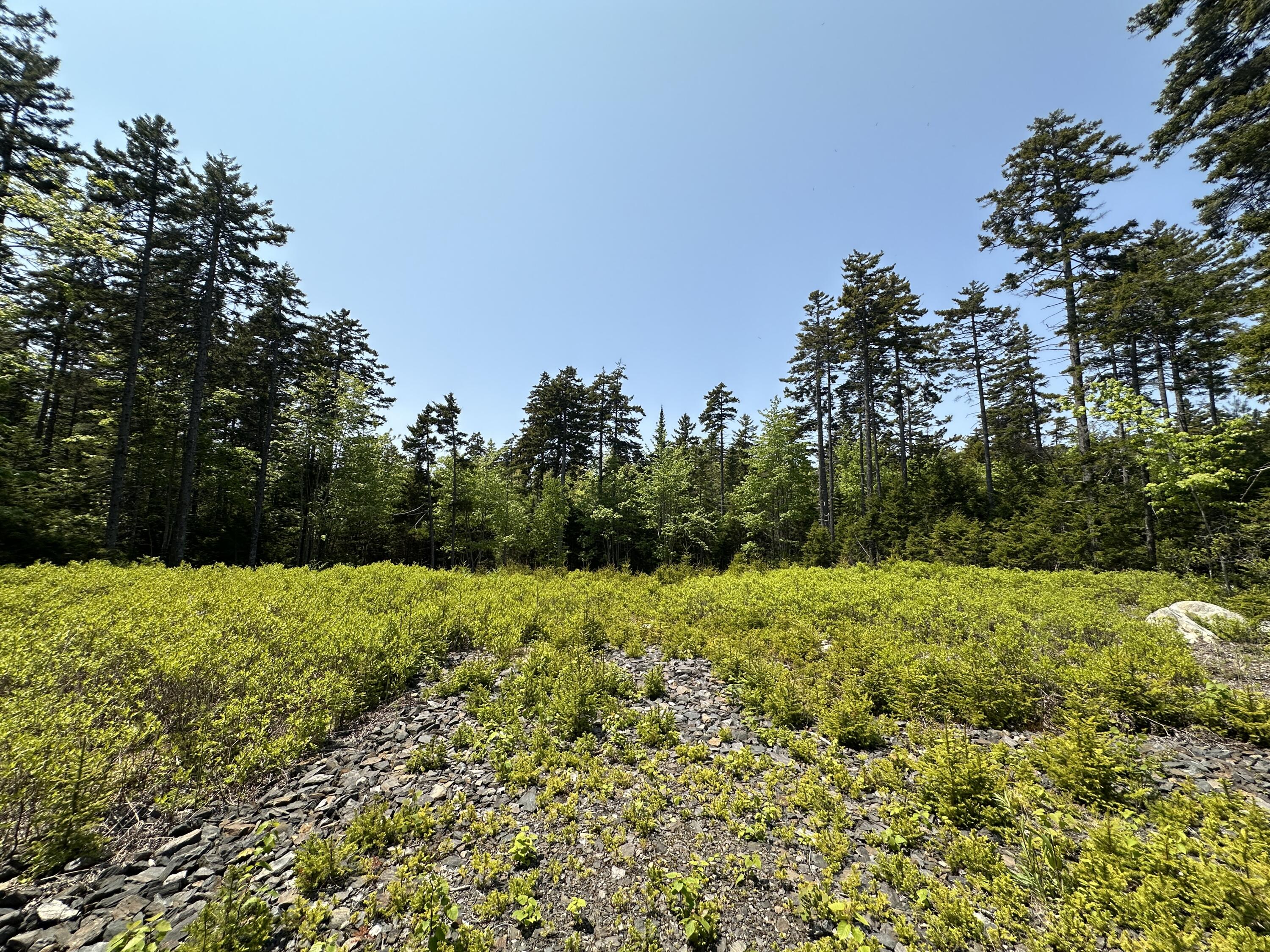 Lot 5 Waymouth Road Tenants Harbor, ME 04860 - Photo 40 of 56 June 2025