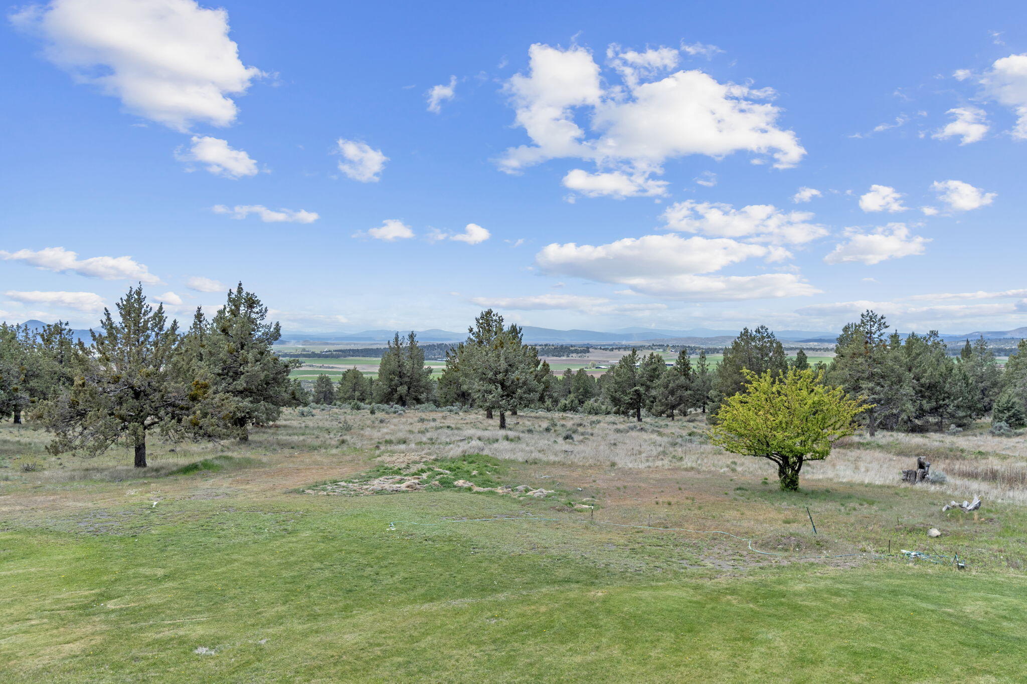 17722 Pope Road Merrill, OR 97633 - Photo 47 of 61 a view of a dry yard with trees
