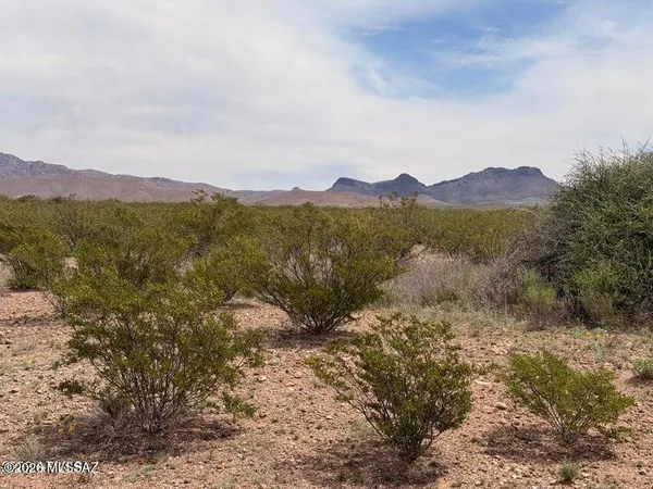 $3,500 | Lot 3969 North Valladolid Drive, Unit 3969, Douglas, AZ 85607