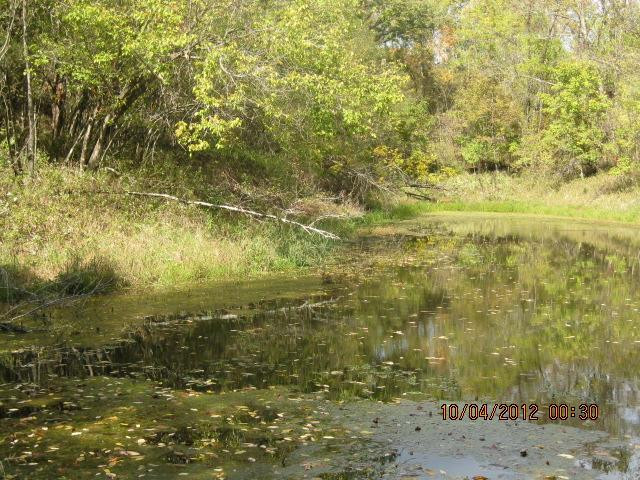 0 Corinth Road Lawrenceburg, KY 40342 - Photo 23 of 26 Photo 23