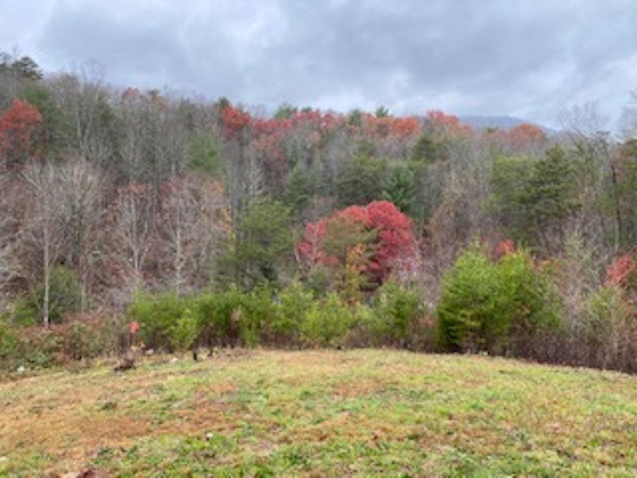 384 Shields Branch Road Tellico Plains, TN 37385 - Photo 7 of 12 IMG_2220