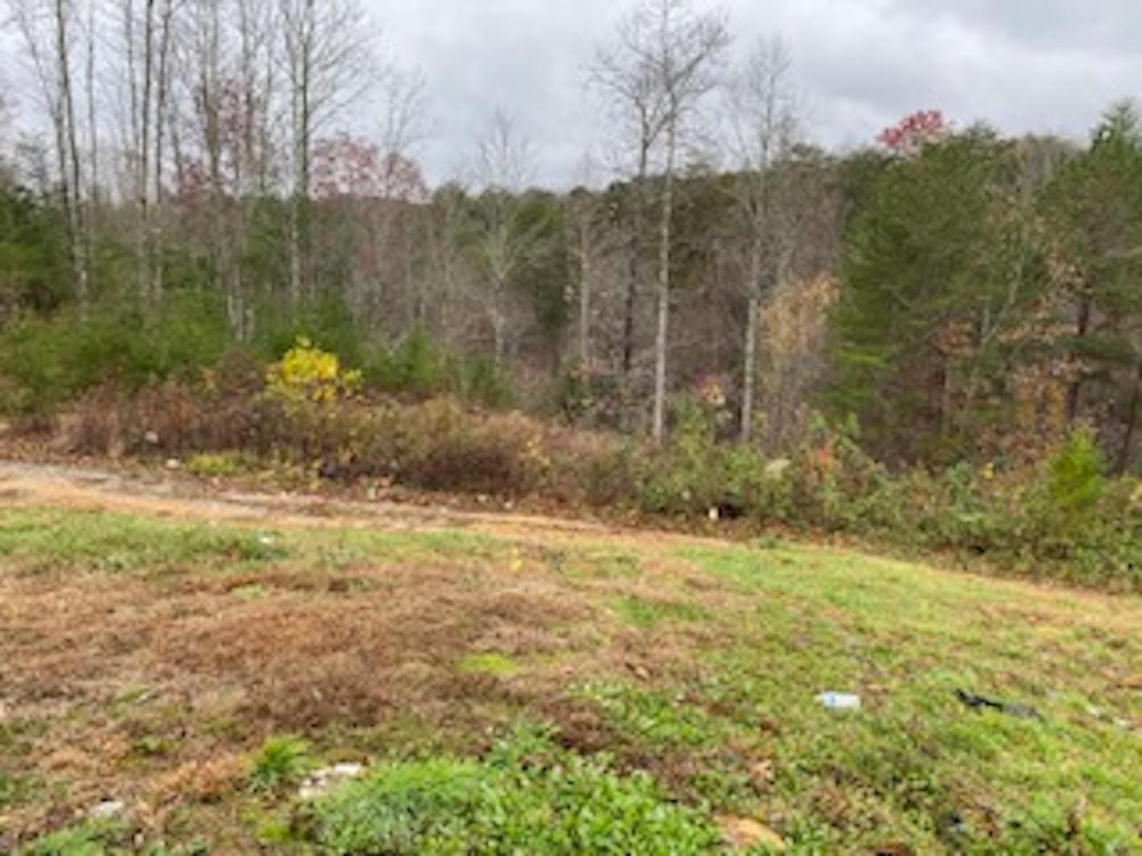 384 Shields Branch Road Tellico Plains, TN 37385 - Photo 8 of 12 IMG_2221