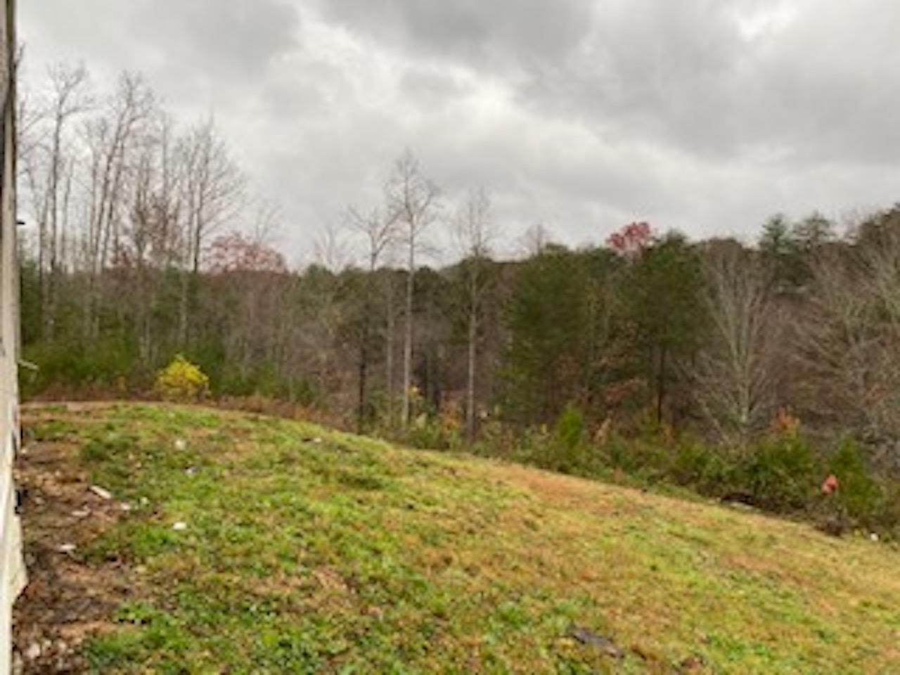 384 Shields Branch Road Tellico Plains, TN 37385 - Photo 9 of 12 IMG_2223
