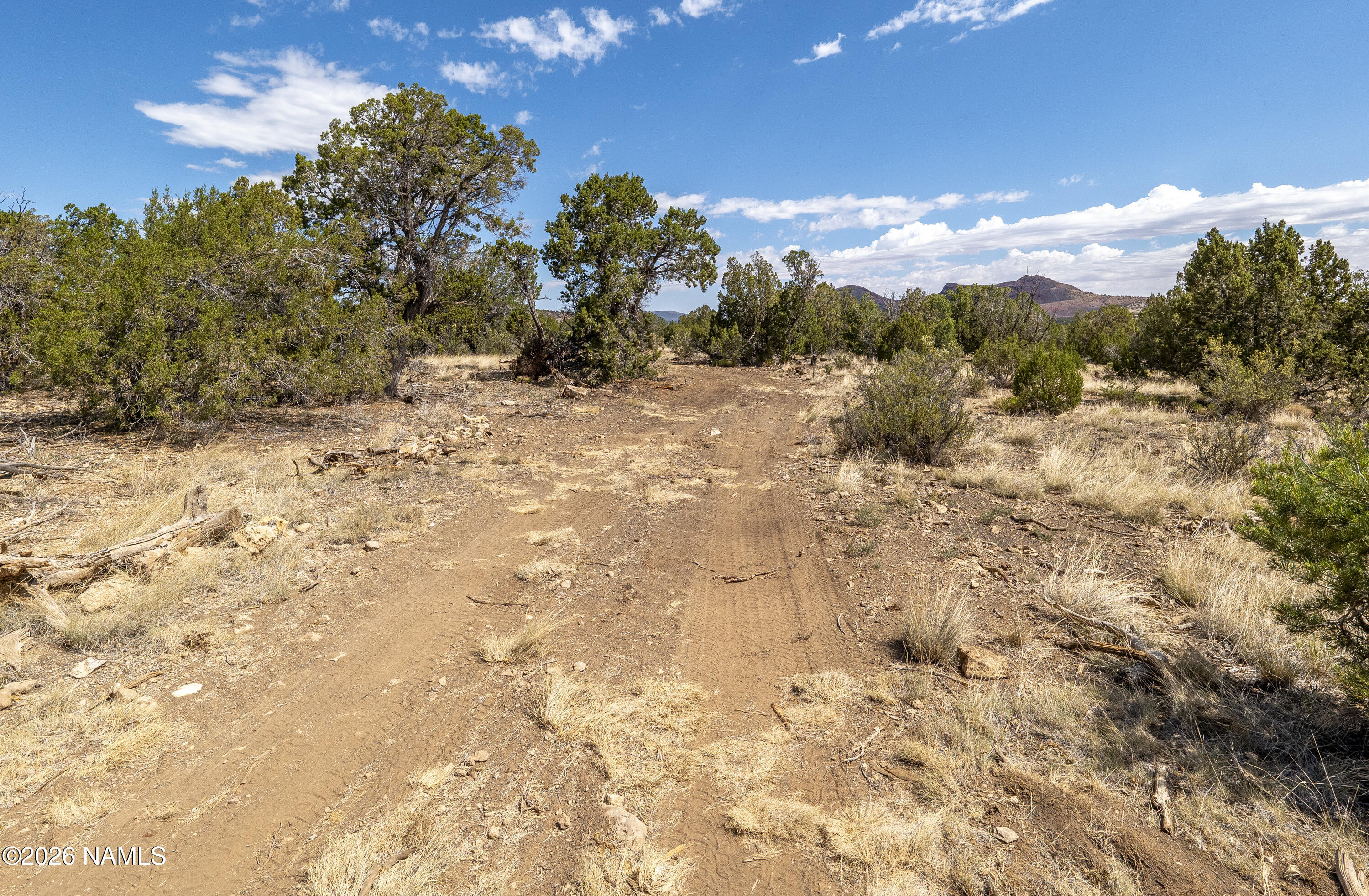 7.85 Acres Parcel Road Flagstaff, AZ 86004 - Photo 17 of 20 Easement Road_Close to Lot