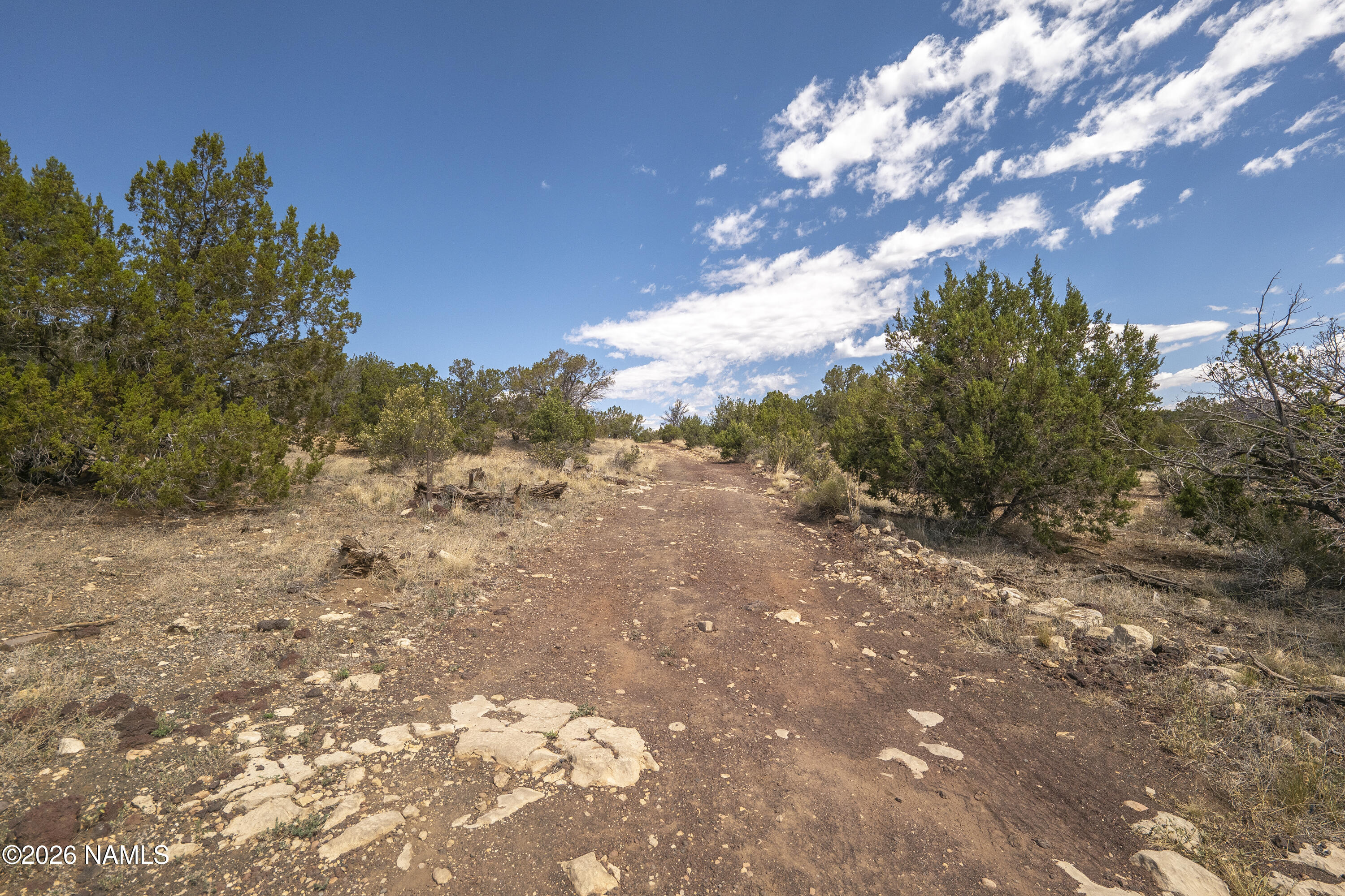 7.85 Acres Parcel Road Flagstaff, AZ 86004 - Photo 2 of 20 Beginning of Easement Road