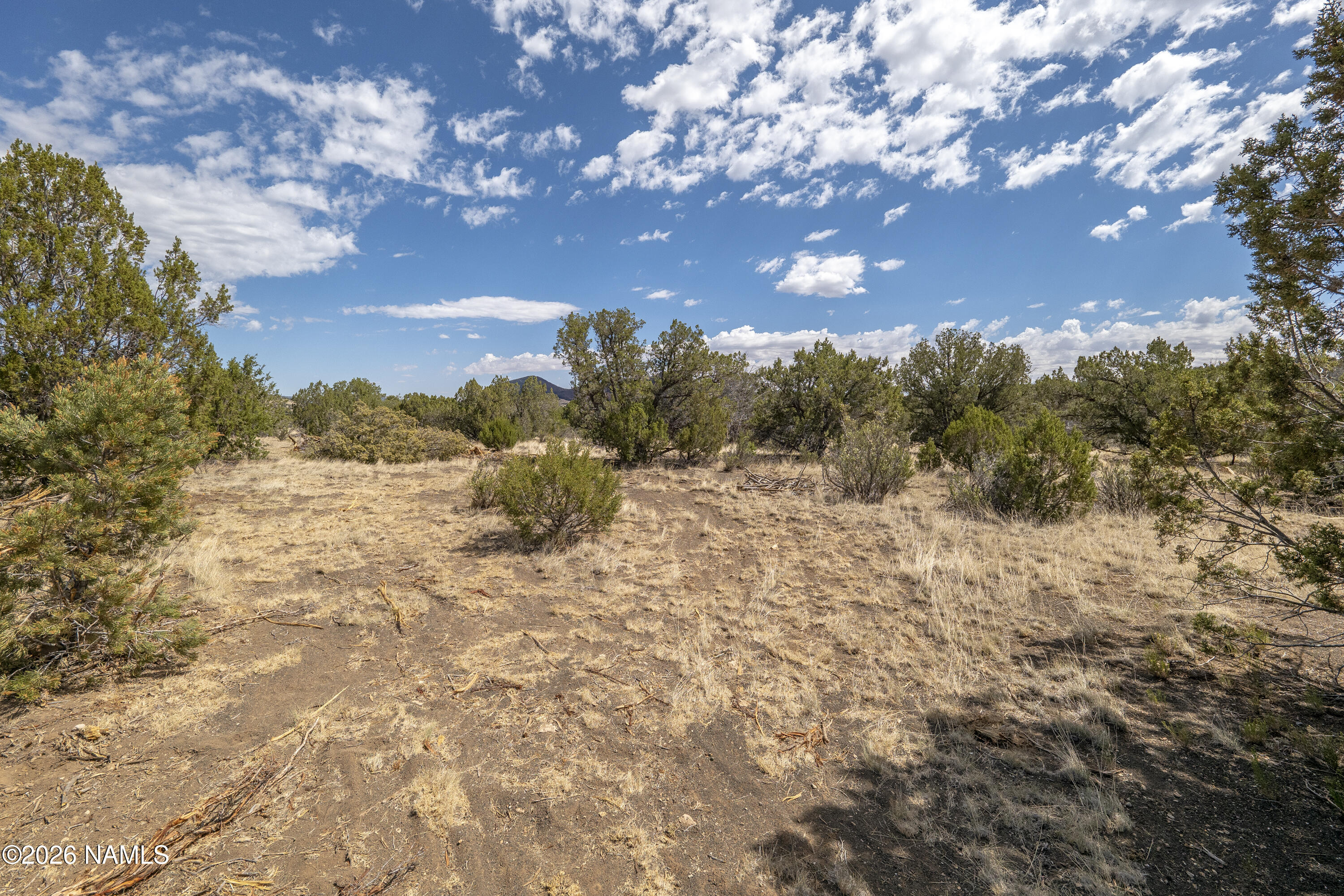 7.85 Acres Parcel Road Flagstaff, AZ 86004 - Photo 4 of 20 7.85 Acreage Parcel