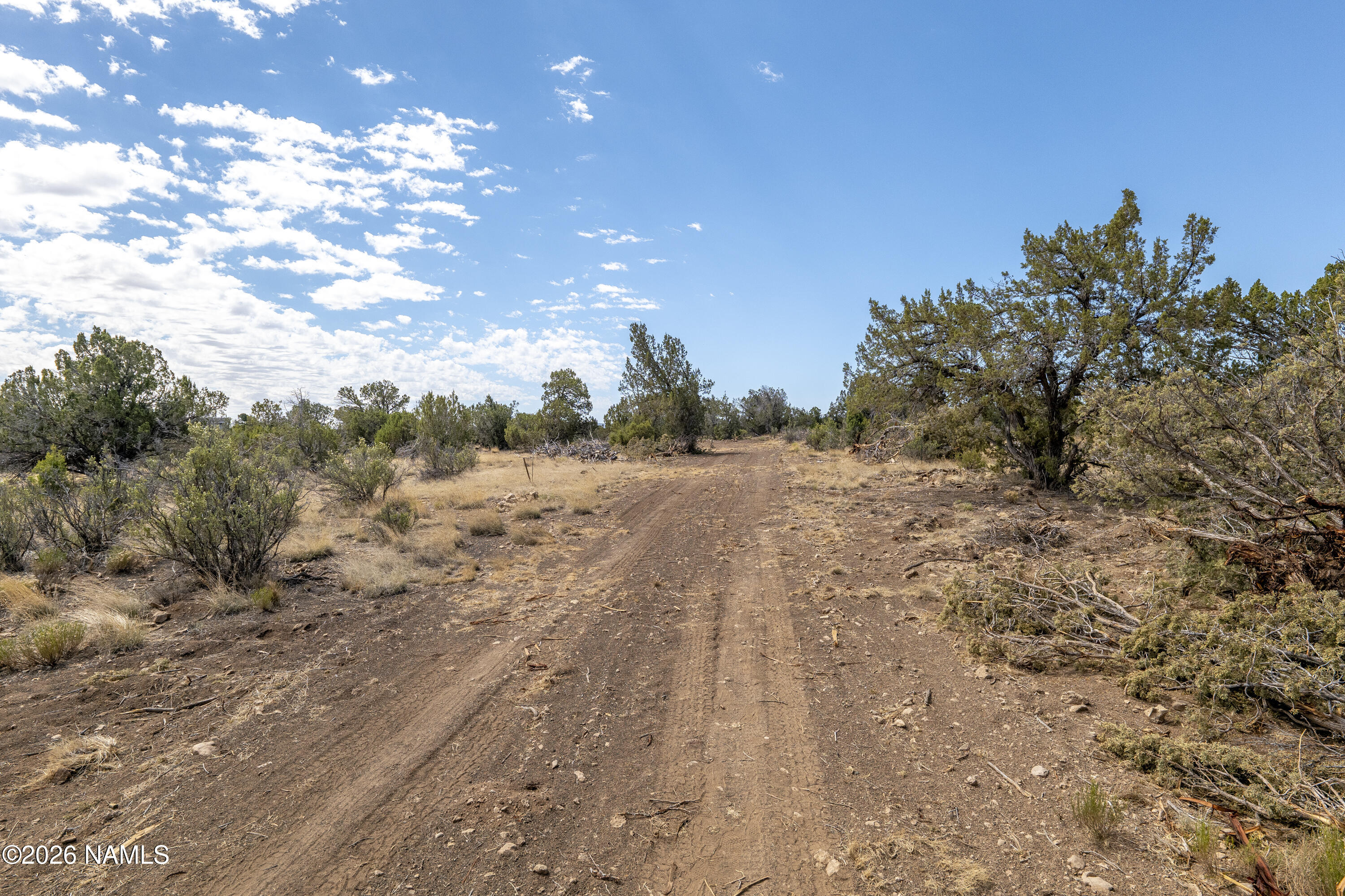 7.85 Acres Parcel Road Flagstaff, AZ 86004 - Photo 6 of 20 30'Easement Dirt Road