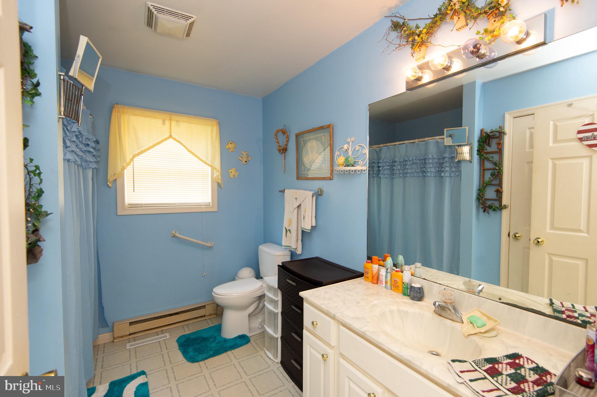 5834 Bell Creek Road Preston, MD 21655 - Photo 26 of 44 a bathroom with a sink a toilet and a mirror
