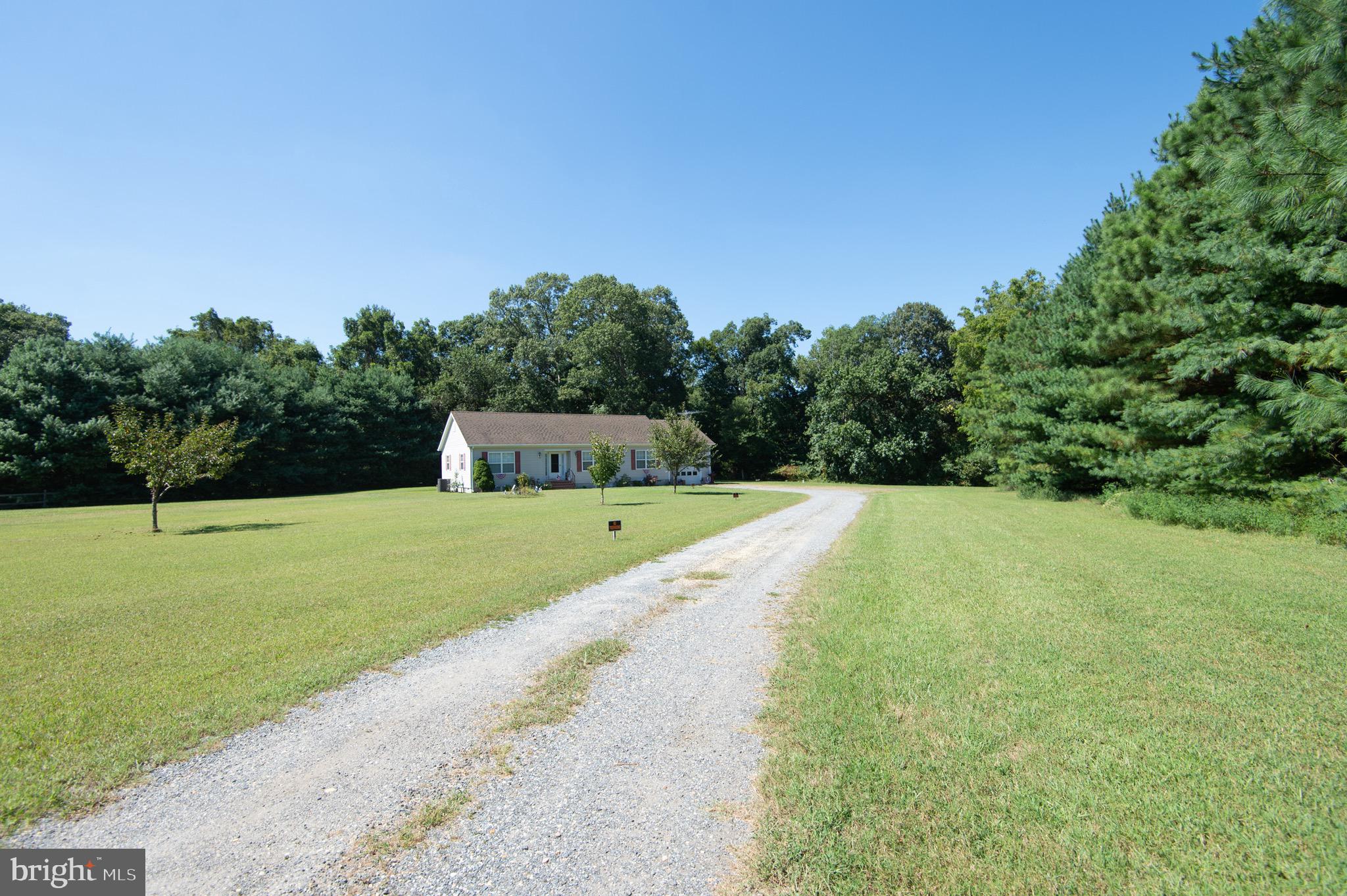 5834 Bell Creek Road Preston, MD 21655 - Photo 5 of 44 a green field with lots of trees in the background
