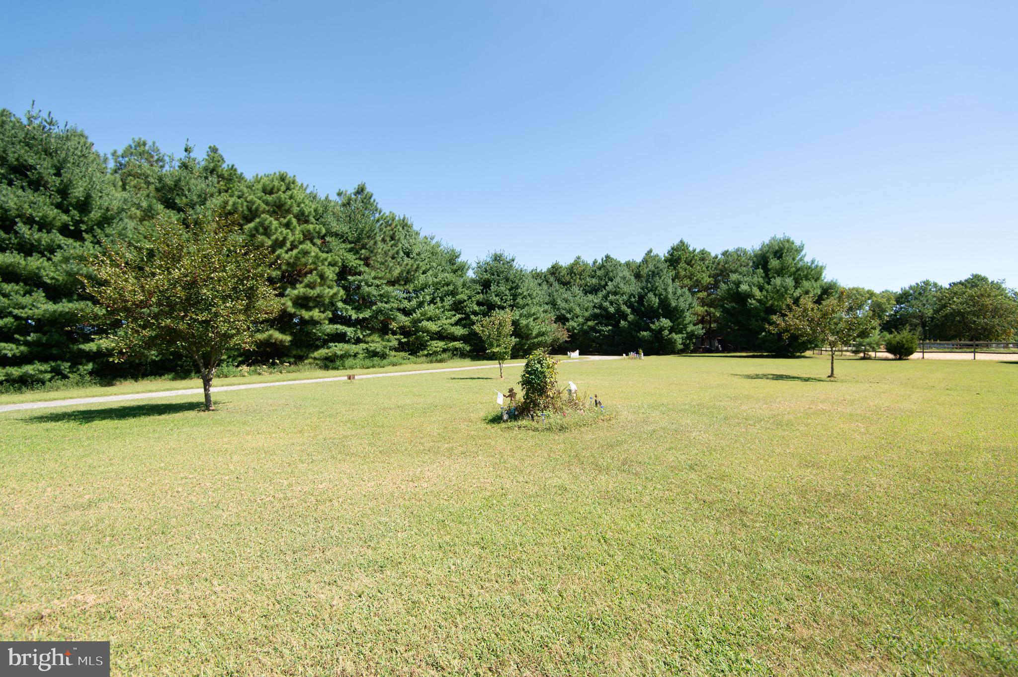 5834 Bell Creek Road Preston, MD 21655 - Photo 7 of 44 a view of a lake view