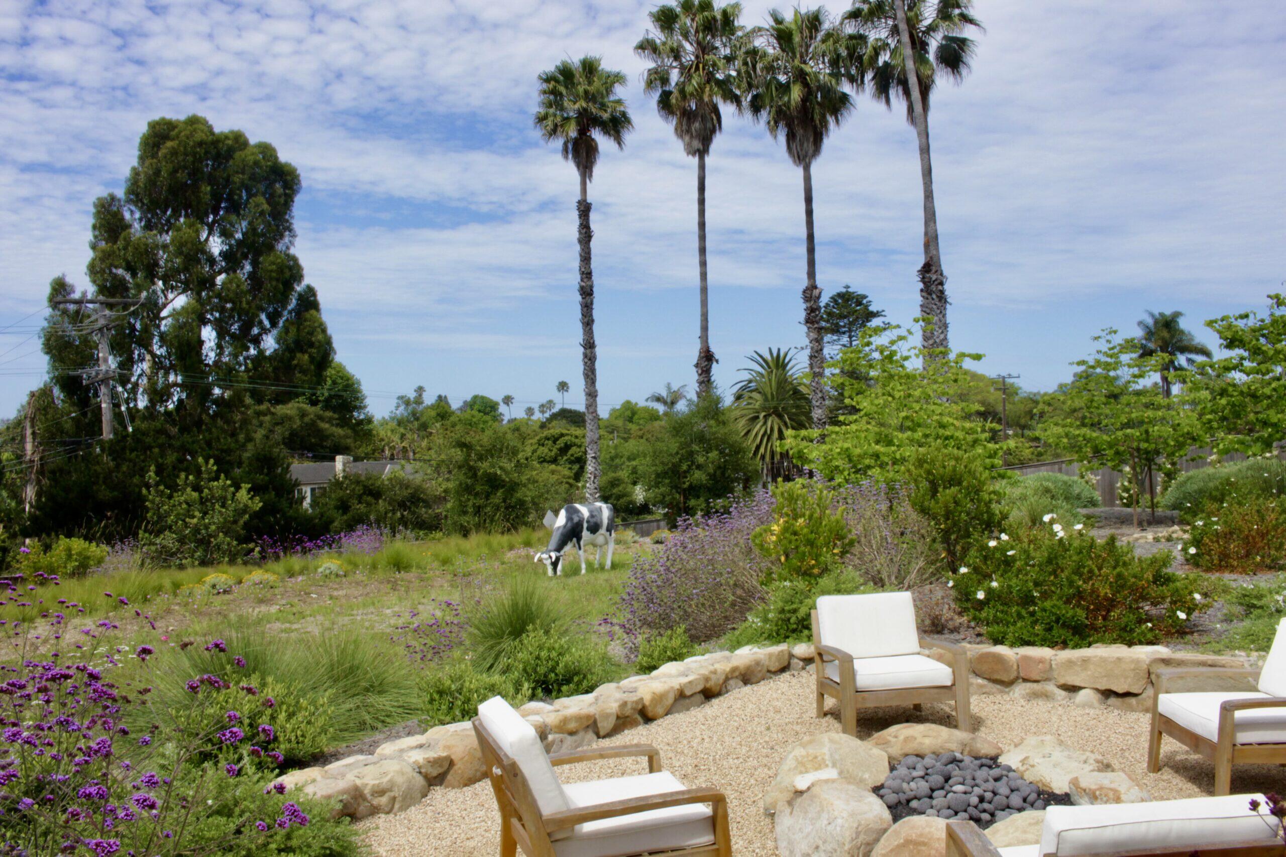 7 Yankee Farm Road Santa Barbara, CA 93109 - Photo 20 of 33 a view of a garden with plants