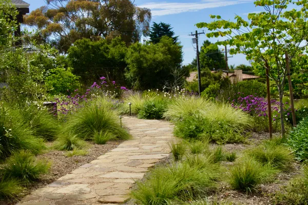 a view of a garden with plants