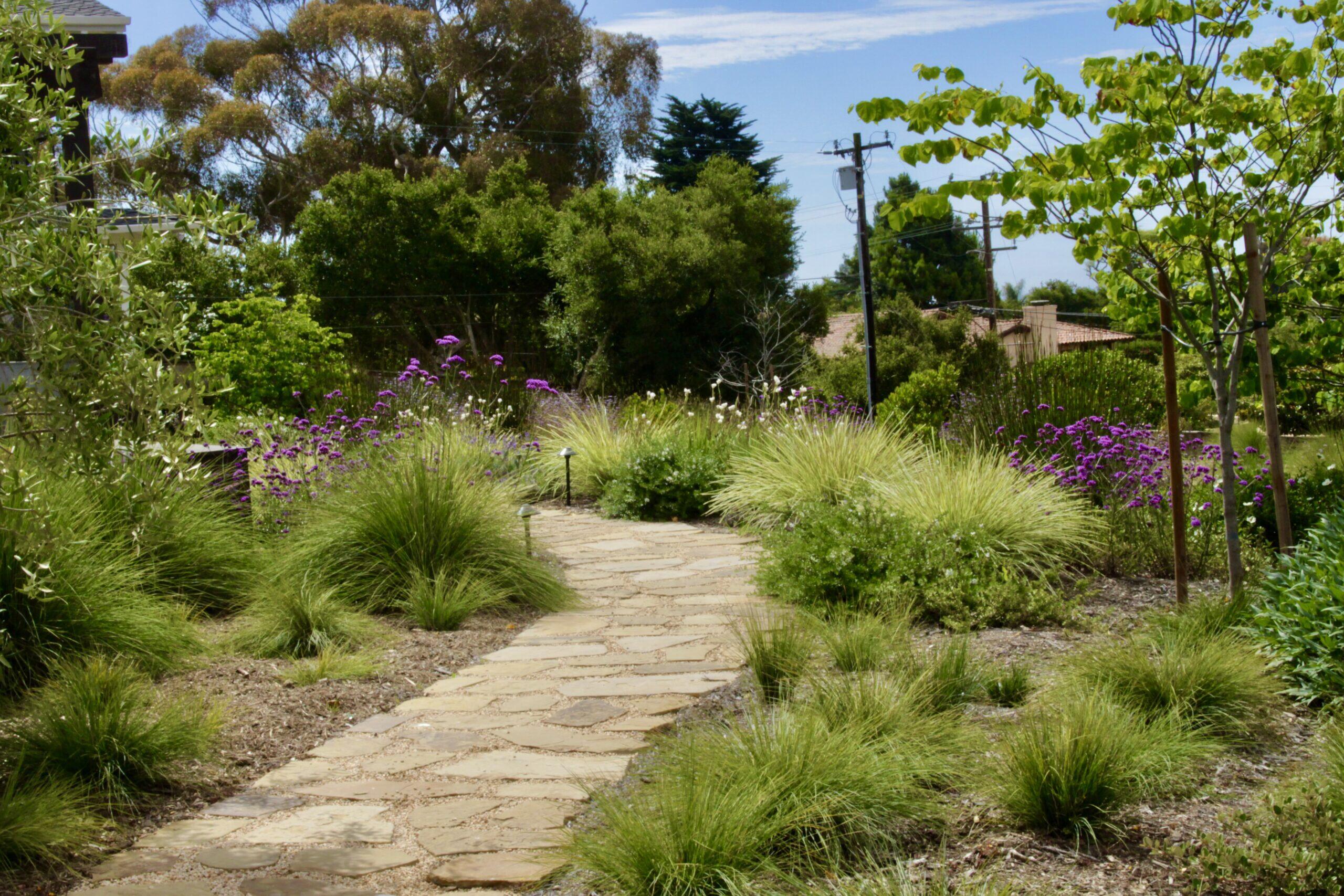 7 Yankee Farm Road Santa Barbara, CA 93109 - Photo 30 of 33 a view of a garden with plants