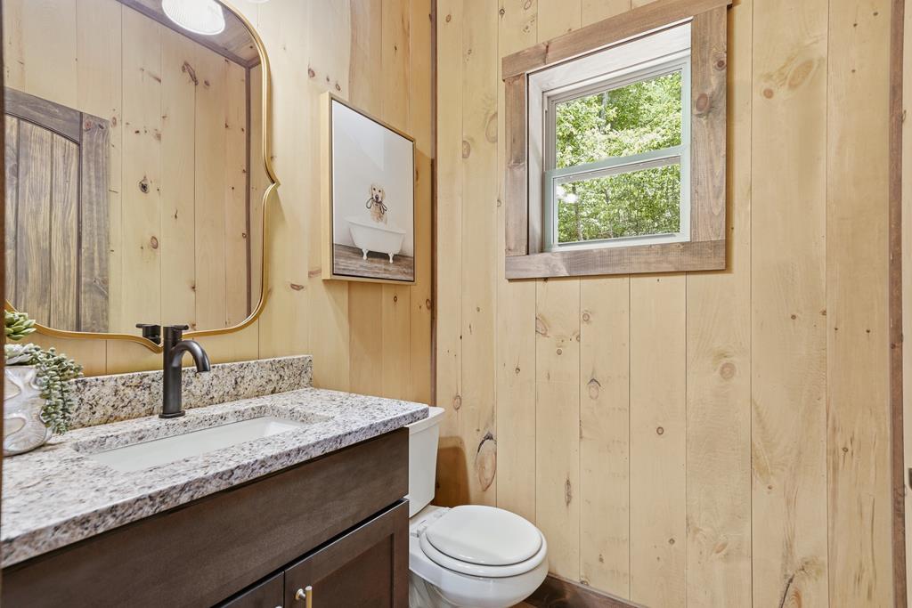 148 Virginia Drive Blue Ridge, GA 30513 - Photo 19 of 50 Gallery Image 19