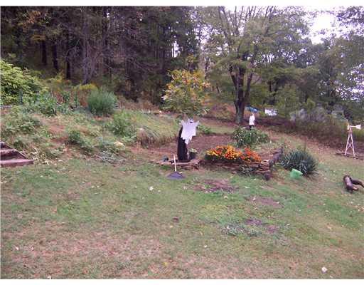 170 Delwood Road Butler, PA 16001 - Photo 9 of 10 Yard/Garden.