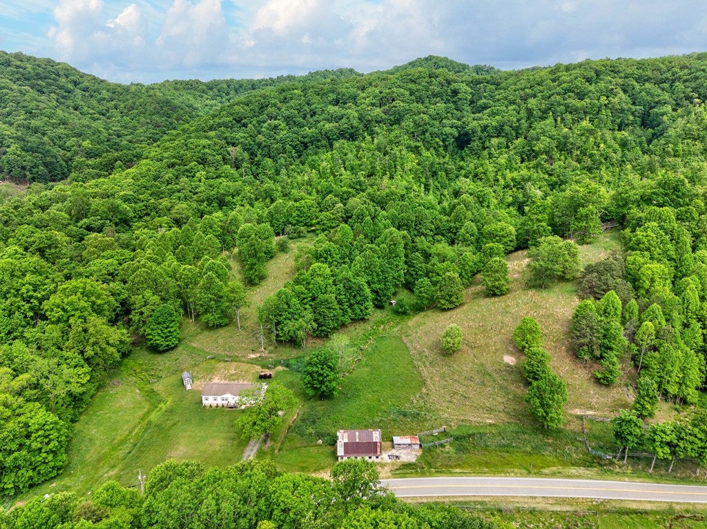 3771 Old Wilderness Road Ceres, VA 24318 - Photo 50 of 83 Gallery Image 50