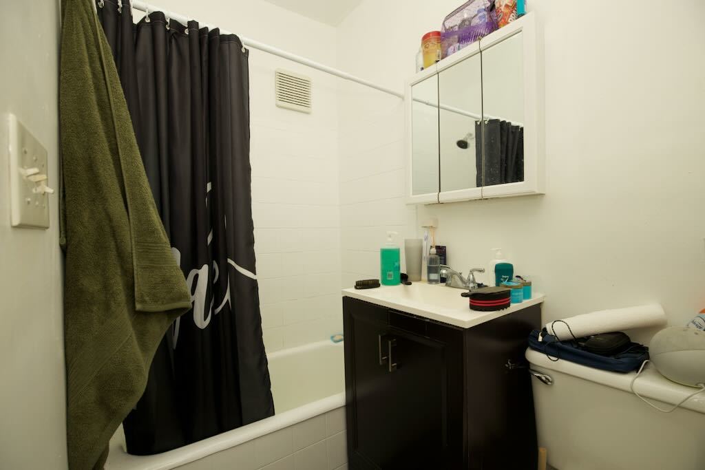 4511 Malden Street, Unit 3B Chicago, IL 60640 - Photo 15 of 20 a bathroom with a sink a mirror and cabinets