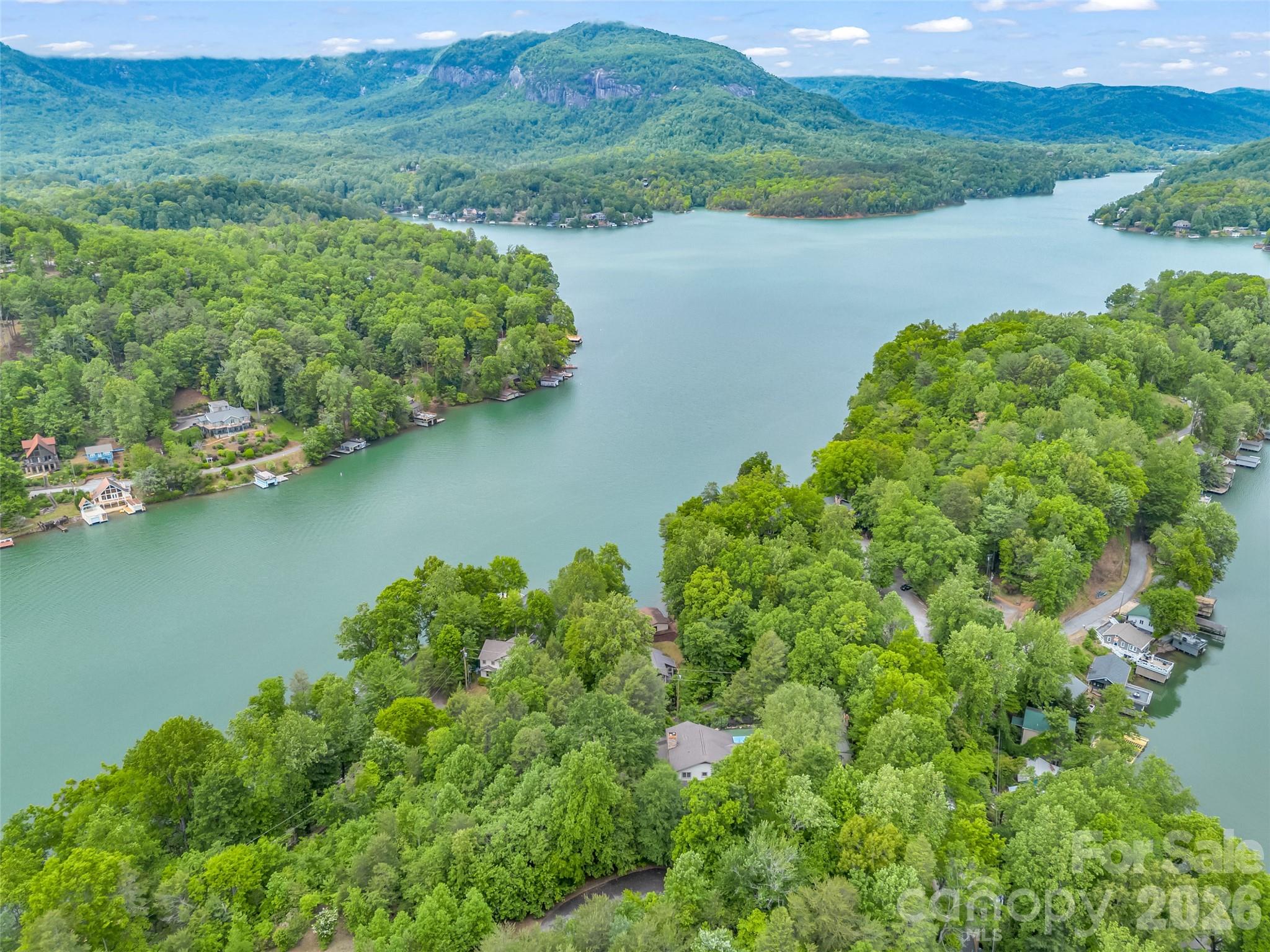 104 Lake Ridge Drive Lake Lure, NC 28746 - Photo 45 of 48
