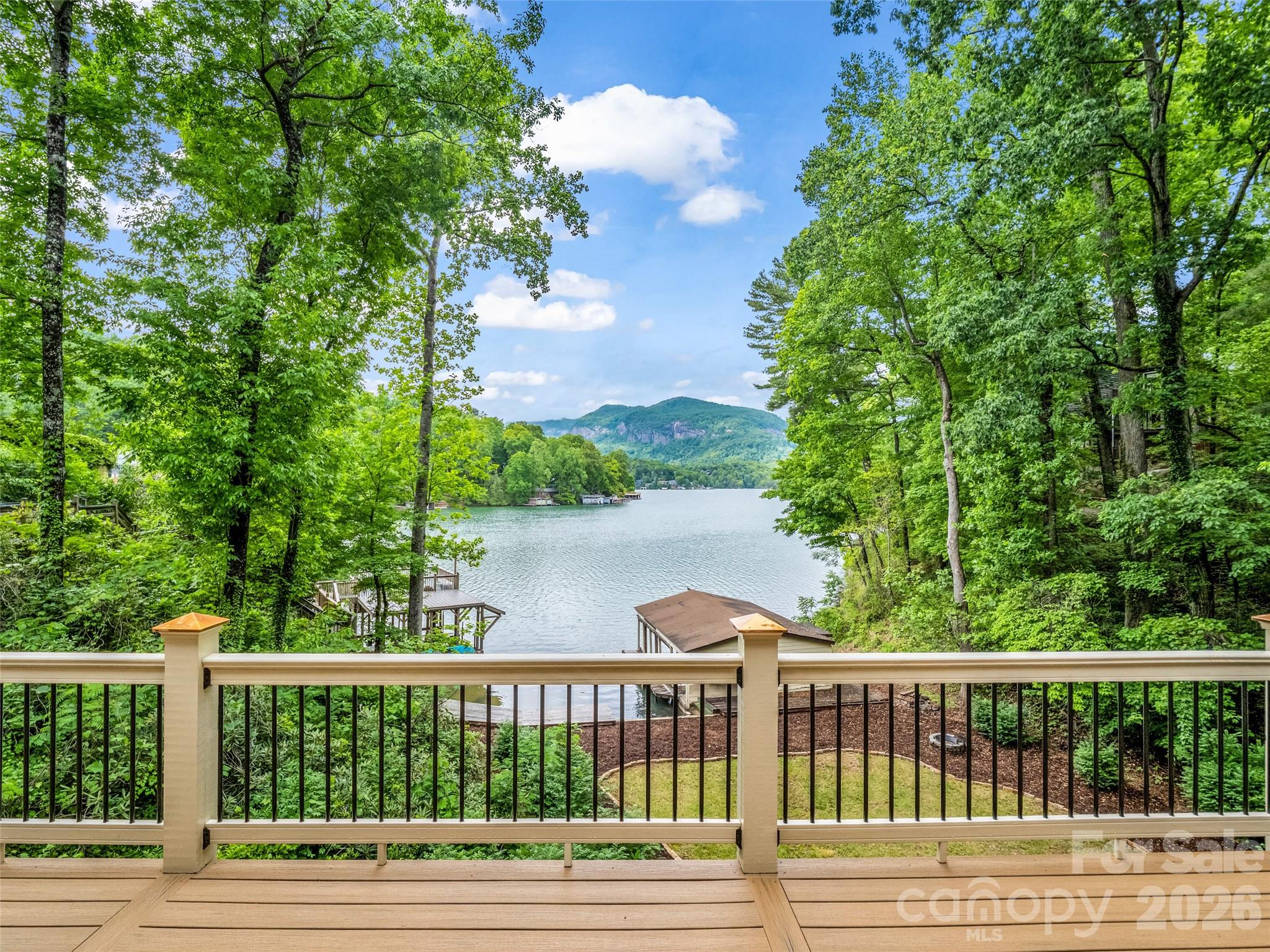104 Lake Ridge Drive Lake Lure, NC 28746 - Photo 6 of 48