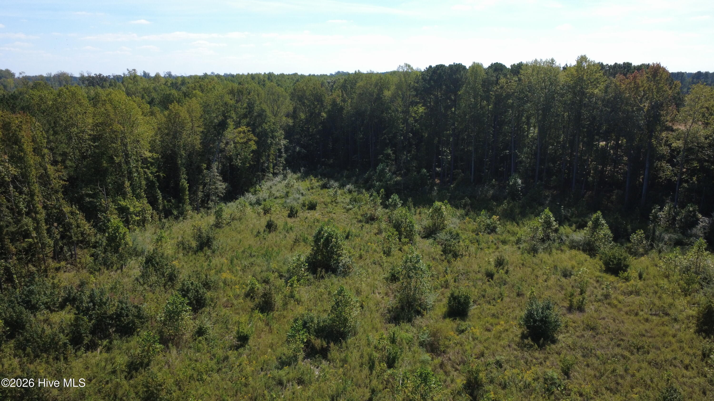 0 Ward Road Whitakers, NC 27891 - Photo 9 of 27 DJI_0505