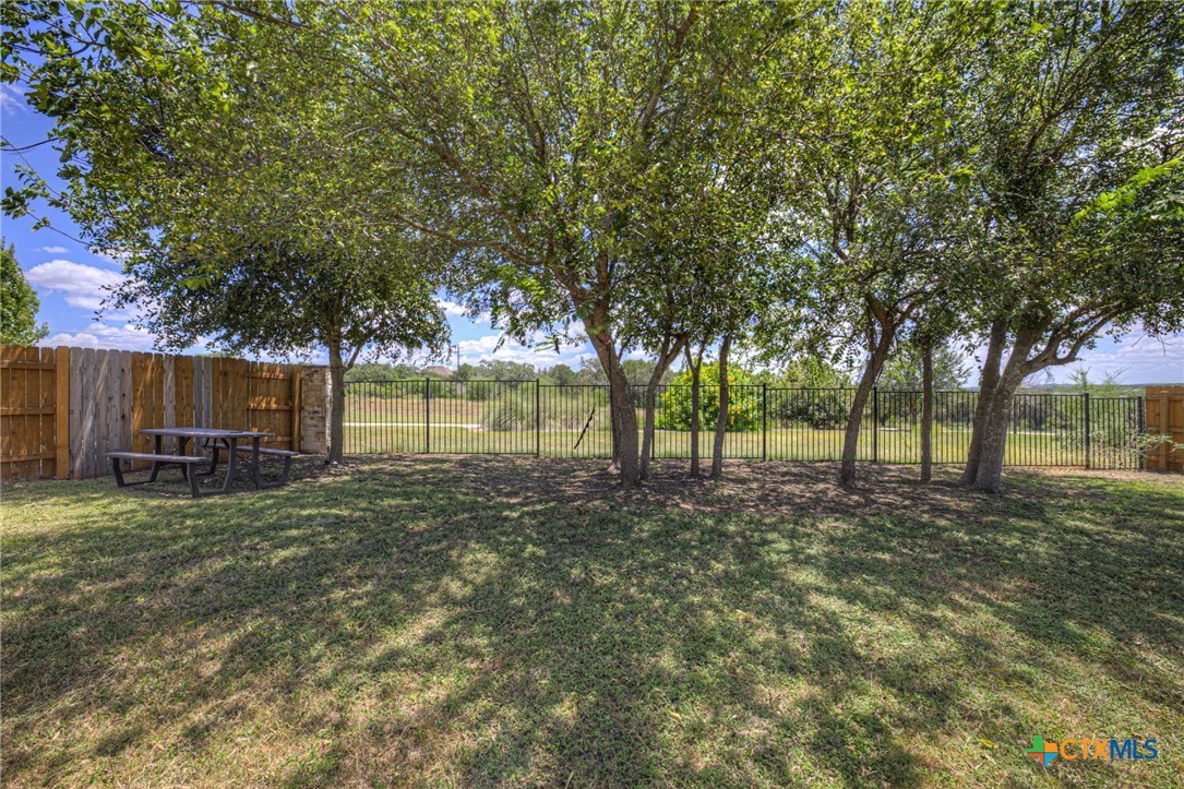 209 Lady Bug Road San Marcos, TX 78666 - Photo 40 of 47 Backyard