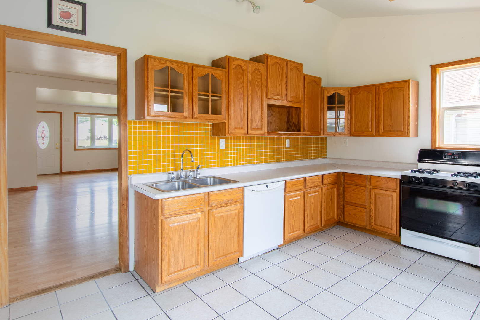 116 South 10th Street Rochelle, IL 61068 - Photo 5 of 19 a kitchen with stainless steel appliances granite countertop a stove and a sink