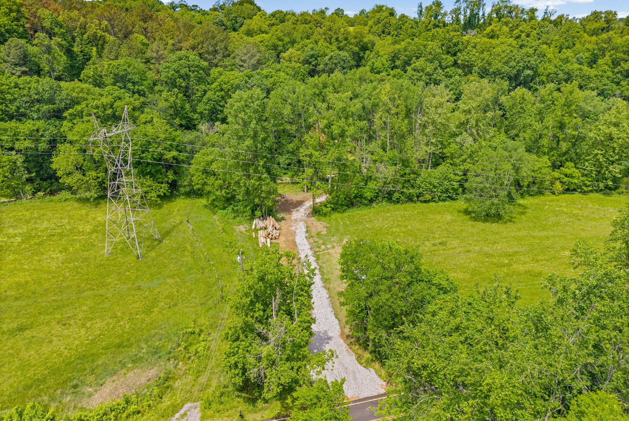 1 Budds Creek Road Palmyra, TN 37142 - Photo 5 of 76 a view of yard with green space