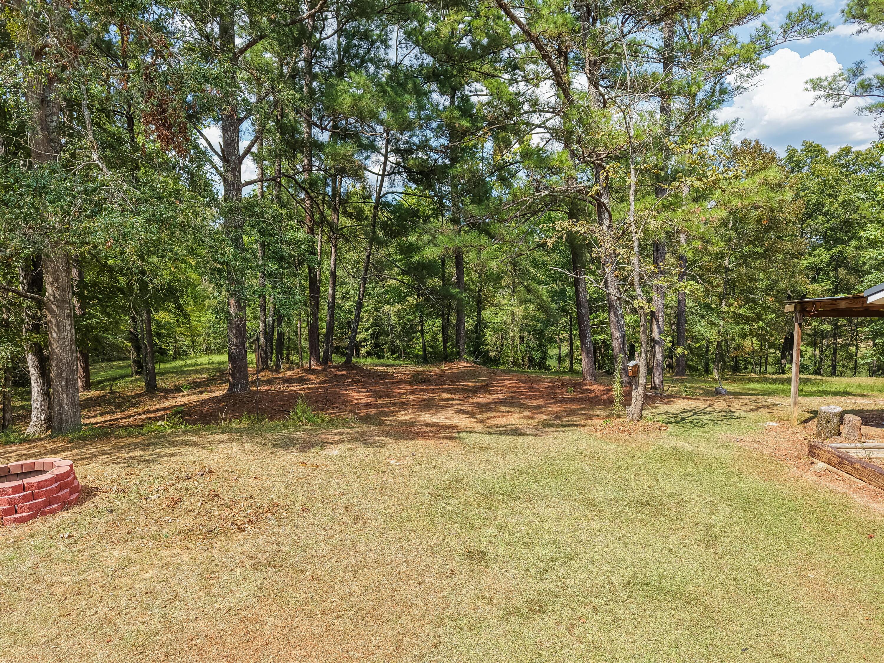 62 Witt Road Belmont, MS 38827 - Photo 52 of 52 Gallery Image 52