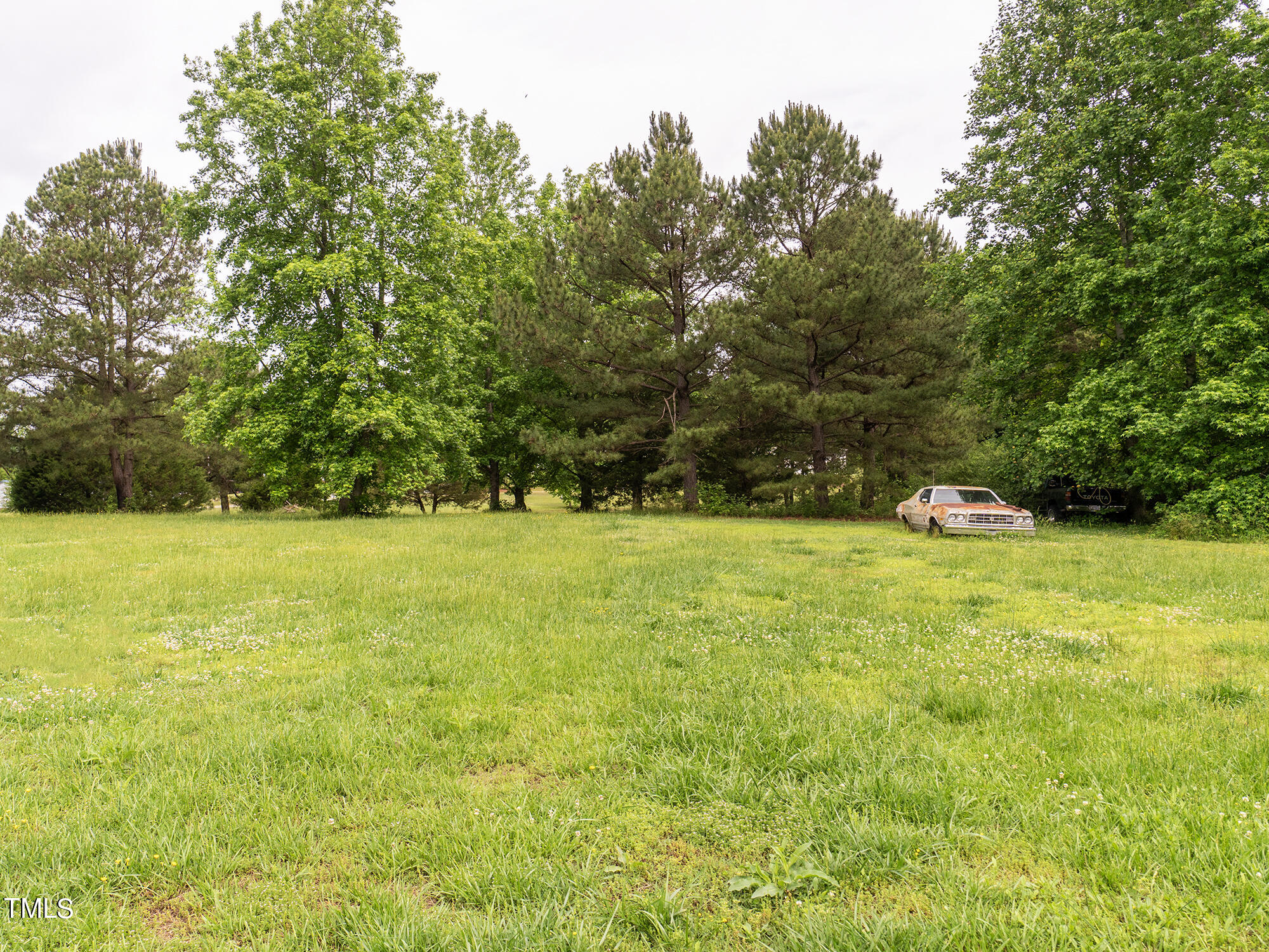 575 George Sherman Road Rougemont, NC 27572 - Photo 26 of 27 26 575_GrgShermanRd Backyard
