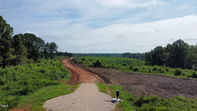 a view of a garden with pathway