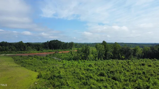a view of a lush green space with sea