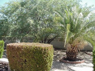 759 West Rio-Altar, Unit W Green Valley, AZ 85614 - Photo 5 of 13 Gallery Image 5