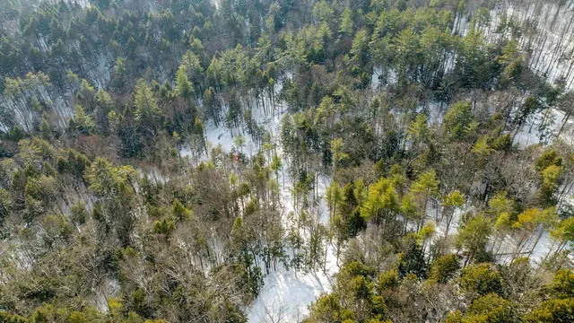 $299,000 | 0 Fay Lane, Unit 7226 AND 7227, Quechee, VT 05059