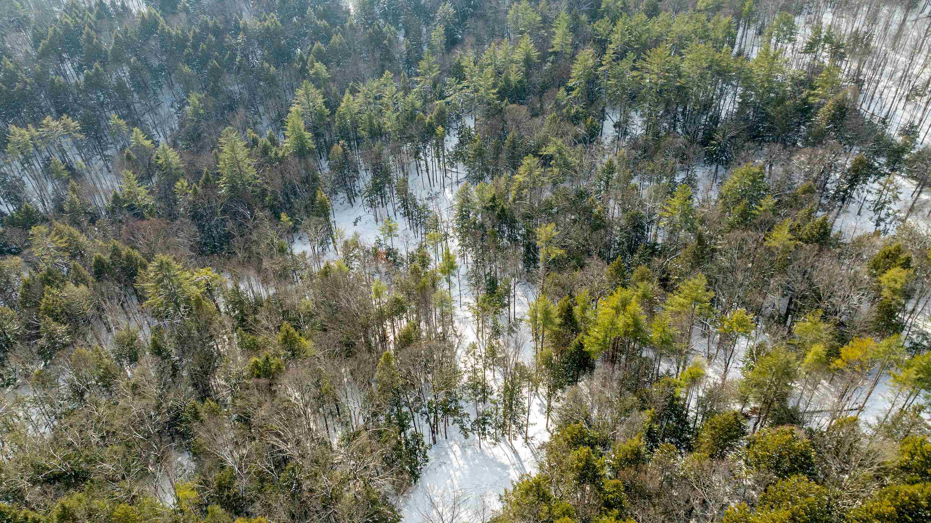 0 Fay Lane, Unit 7226 AND 7227 Quechee, VT 05059 - Photo 11 of 16