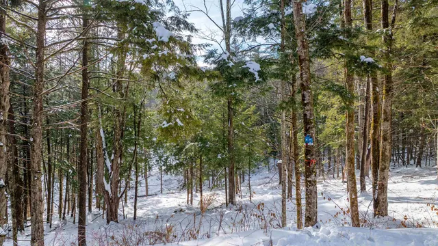 $299,000 | 0 Fay Lane, Unit 7226 AND 7227, Quechee, VT 05059