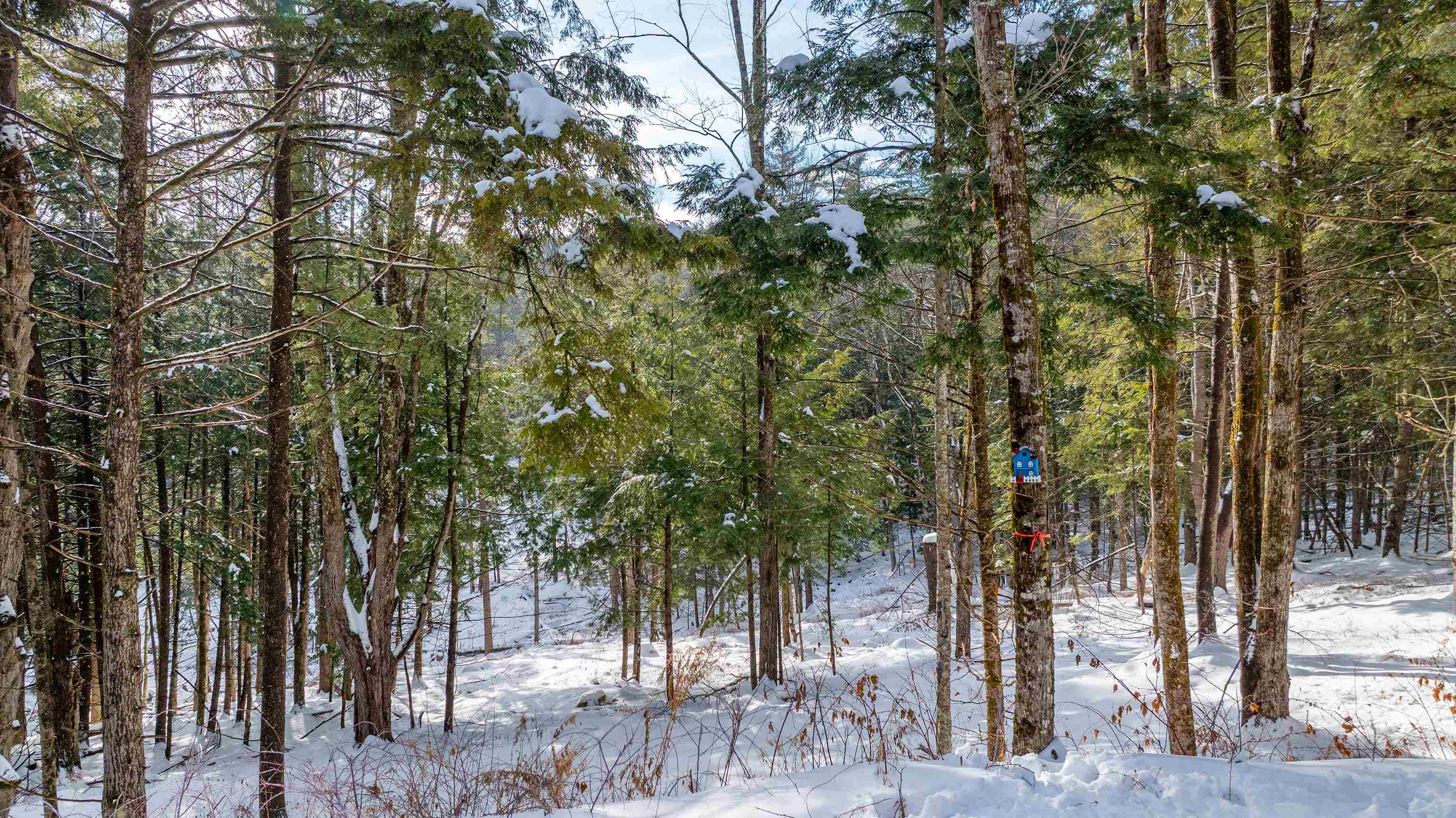 0 Fay Lane, Unit 7226 AND 7227 Quechee, VT 05059 - Photo 3 of 16
