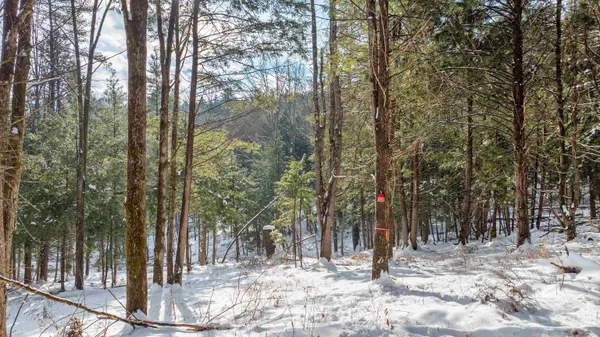 $299,000 | 0 Fay Lane, Unit 7226 AND 7227, Quechee, VT 05059