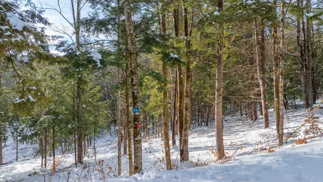 $299,000 | 0 Fay Lane, Unit 7226 AND 7227, Quechee, VT 05059