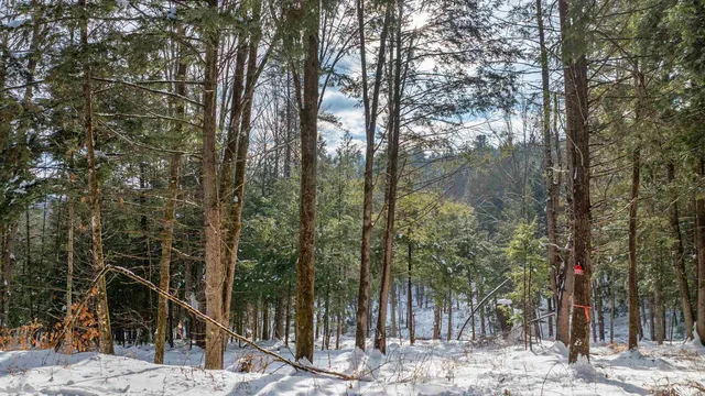 $299,000 | 0 Fay Lane, Unit 7226 AND 7227, Quechee, VT 05059