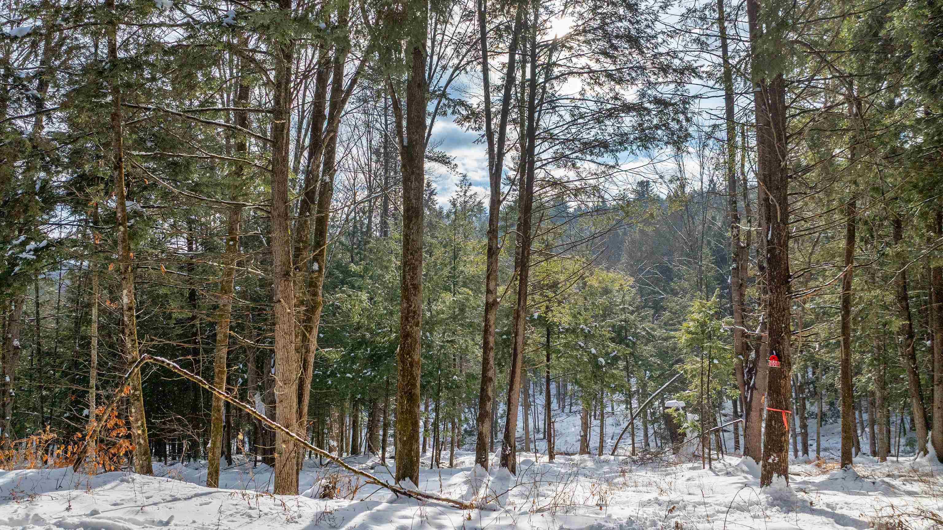 0 Fay Lane, Unit 7226 AND 7227 Quechee, VT 05059 - Photo 6 of 16