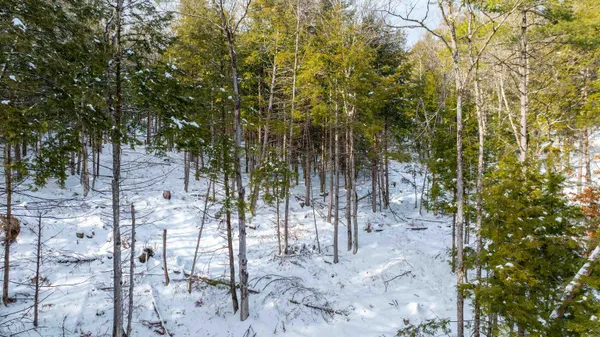 $299,000 | 0 Fay Lane, Unit 7226 AND 7227, Quechee, VT 05059